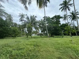  Land for sale in Mai Khao, Phuket, Mai Khao