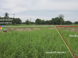  Land for sale in Ban Na, Ban Na, Ban Na