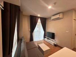 1 Schlafzimmer Wohnung zu verkaufen im Casa Condo At CMU, Suthep, Mueang Chiang Mai