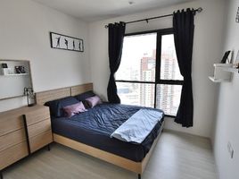 1 Schlafzimmer Appartement zu vermieten im Life Sukhumvit 48, Phra Khanong, Khlong Toei