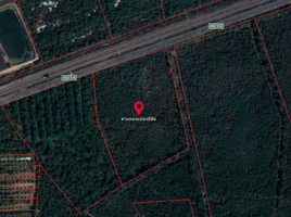  Land for sale in Pak Ro, Singhanakhon, Pak Ro