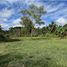  Land for sale in Thalang Phuket, Thep Krasattri