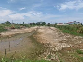  Land for sale in Bang Bo Samut Prakan, Bang Phriang, Bang Bo, Samut Prakan