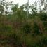 ขายที่ดิน ใน เชียงเพ็ง, อุดรธานี, เชียงเพ็ง, กุดจับ
