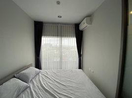 1 Schlafzimmer Wohnung zu vermieten im Niche Pride Taopoon-Interchange, Bang Sue