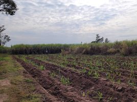  Grundstück zu verkaufen in Nong Ruea, Khon Kaen, Non Sa-At, Nong Ruea