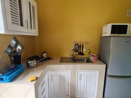 1 Bedroom Apartment for rent at Erika's House , Maenam