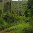  Land for sale in Maret, Koh Samui, Maret