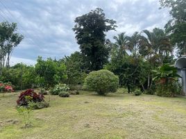  Land for sale in Pococi, Limon, Pococi