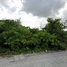  Land for sale in Si Racha, Chon Buri, Nong Kham, Si Racha