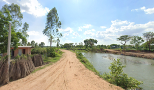 N/A Grundstück zu verkaufen in Nong Don, Chaiyaphum 