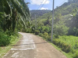  Land for sale in Thailand, Ko Lanta Yai, Ko Lanta, Krabi, Thailand