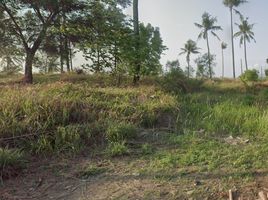  Land for sale in Banten, Cilegon, Serang, Banten