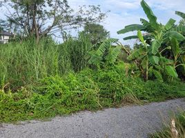  Grundstück zu verkaufen in Si Racha, Chon Buri, Surasak