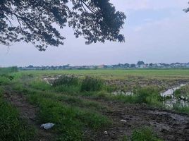  Grundstück zu verkaufen in Khlong Sam Wa, Bangkok, Sam Wa Tawan Ok, Khlong Sam Wa