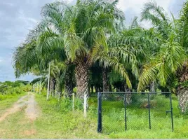  Land for sale in Thailand, Kui Buri, Kui Buri, Prachuap Khiri Khan, Thailand