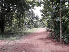  Land for sale in On Tai, San Kamphaeng, On Tai