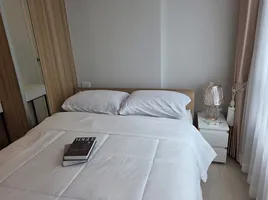 1 Schlafzimmer Wohnung zu vermieten im Nue Connex Condo Donmuang, Sanam Bin, Don Mueang, Bangkok