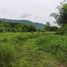  Land for sale in Chiang Rai, Mae O, Phan, Chiang Rai