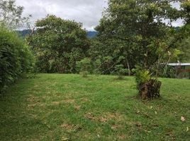  Land for sale in Puntarenas, Aguirre, Puntarenas