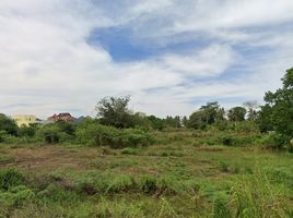  Grundstück zu verkaufen in Thalang, Phuket, Si Sunthon