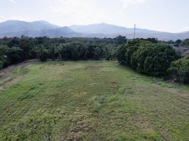  Land for sale in Chiang Mai, Rim Tai, Mae Rim, Chiang Mai