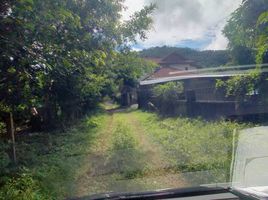  Land for sale in Thalang, Phuket, Pa Khlok