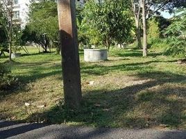  Land for sale in Chiang Mai, Fa Ham, Mueang Chiang Mai, Chiang Mai