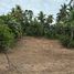  Land for sale in Phang Ka Beach, Taling Ngam, Taling Ngam