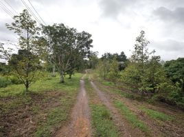  Land for sale in Pong Nam Ron, Pong Nam Ron, Pong Nam Ron
