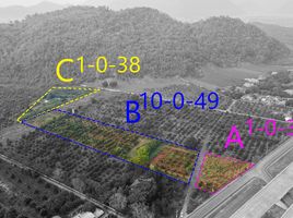  Grundstück zu verkaufen in Pak Chong, Nakhon Ratchasima, Nong Nam Daeng, Pak Chong, Nakhon Ratchasima