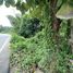  Land for sale in Na An, Mueang Loei, Na An