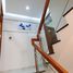 4 Schlafzimmer Villa zu verkaufen in Tan Phu, Ho Chi Minh City, Tan Quy, Tan Phu, Ho Chi Minh City