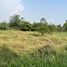  Land for sale in Chon Buri, Tha Bunmi, Ko Chan, Chon Buri