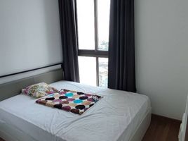1 Schlafzimmer Appartement zu vermieten im Ideo Mix Sukhumvit 103, Bang Na, Bang Na