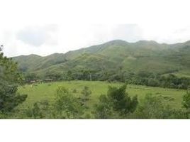  Land for sale in Puntarenas, Aguirre, Puntarenas