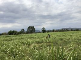  Grundstück zu verkaufen in Chai Badan, Lop Buri, Muang Khom