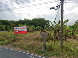  Grundstück zu verkaufen in Thalang, Phuket, Thep Krasattri, Thalang