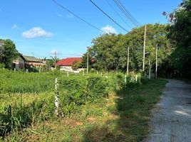  Land for sale in Phuket Town, Phuket, Rawai, Phuket Town