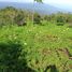  Grundstück zu verkaufen in Buleleng, Bali, Banjar, Buleleng