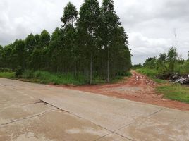  Land for sale in Nong Ki, Kabin Buri, Nong Ki