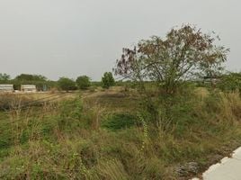  Land for sale in Phutthamonthon, Nakhon Pathom, Khlong Yong, Phutthamonthon