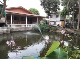 2 Schlafzimmer Haus zu vermieten in Ban Nong Ket Yai Health Center, Nong Pla Lai, Nong Pla Lai