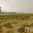 Grundstück zu verkaufen im Dubailand Oasis, Dubai Land