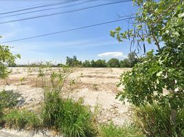  Land for sale in Chon Buri, Ban Bueng, Ban Bueng, Chon Buri