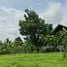  Land for sale in Mueang Nakhon Ratchasima Nakhon Ratchasima, Khok Sung, Mueang Nakhon Ratchasima, Nakhon Ratchasima