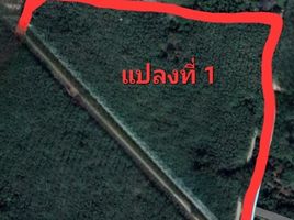  Grundstück zu verkaufen in Mueang Rayong, Rayong, Klaeng, Mueang Rayong