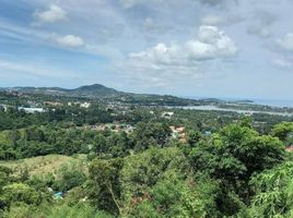  Grundstück zu verkaufen in Koh Samui, Surat Thani, Bo Phut