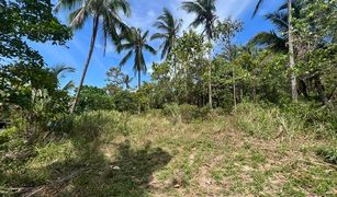 N/A Land for sale in Bo Phut, Koh Samui 