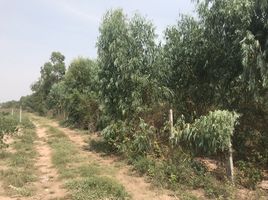  Land for sale in Mueang Nakhon Ratchasima, Nakhon Ratchasima, Hua Thale, Mueang Nakhon Ratchasima